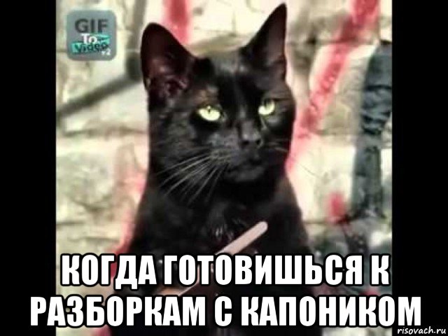 когда готовишься к разборкам с капоником