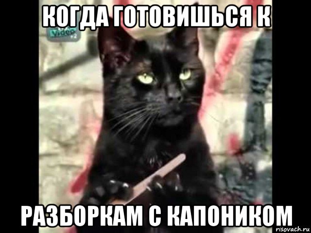 когда готовишься к разборкам с капоником