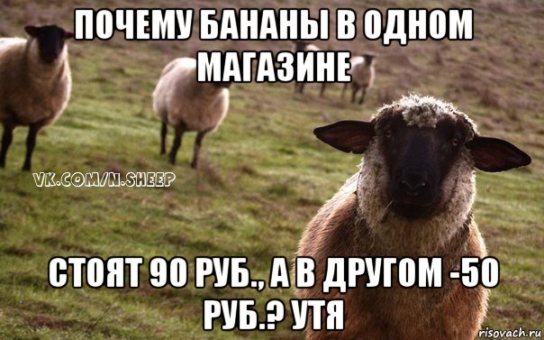 почему бананы в одном магазине стоят 90 руб., а в другом -50 руб.? утя, Мем  Наивная Овца