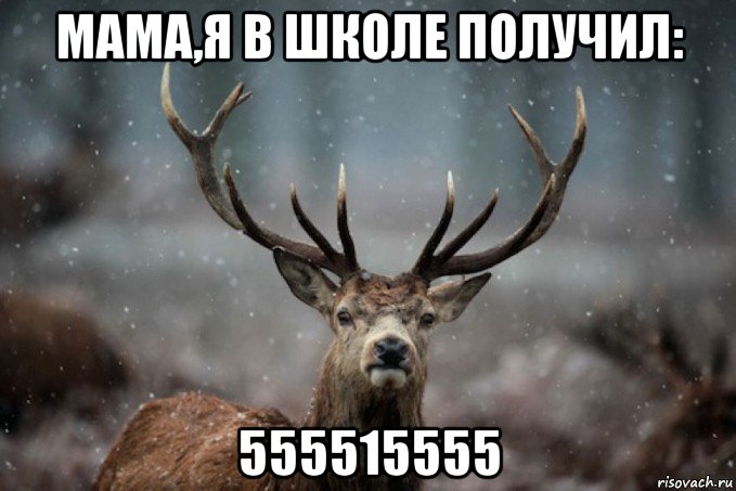 мама,я в школе получил: 555515555