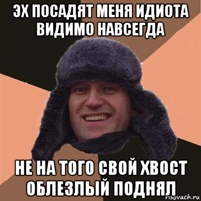 эх посадят меня идиота видимо навсегда не на того свой хвост облезлый поднял, Мем навальный