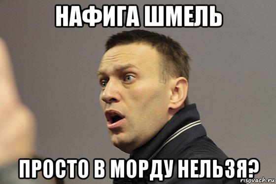 нафига шмель просто в морду нельзя?