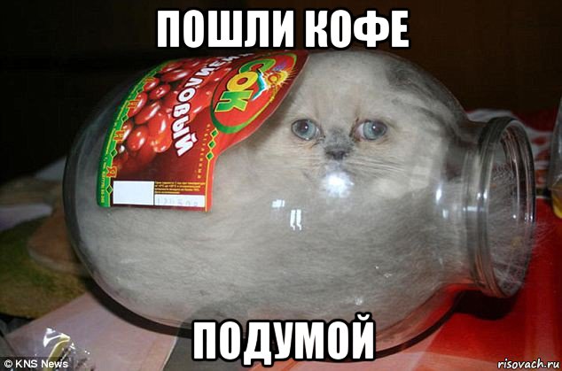 пошли кофе подумой