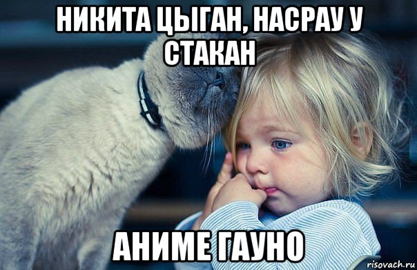 никита цыган, насрау у стакан аниме гауно, Мем не плач