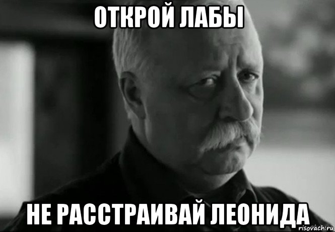 открой лабы не расстраивай леонида, Мем Не расстраивай Леонида Аркадьевича