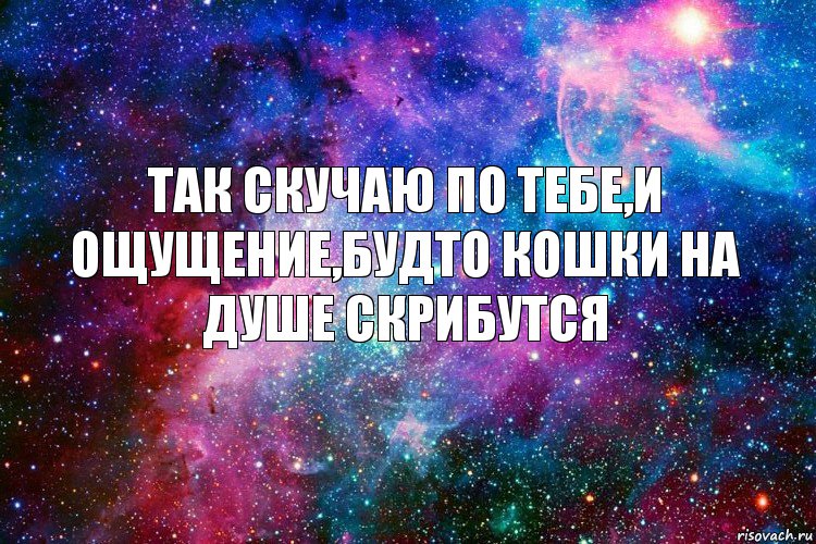 Так скучаю по тебе,и ощущение,будто кошки на душе скрибутся