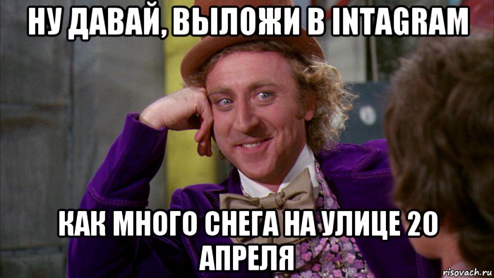 ну давай, выложи в intagram как много снега на улице 20 апреля, Мем Ну давай расскажи (Вилли Вонка)