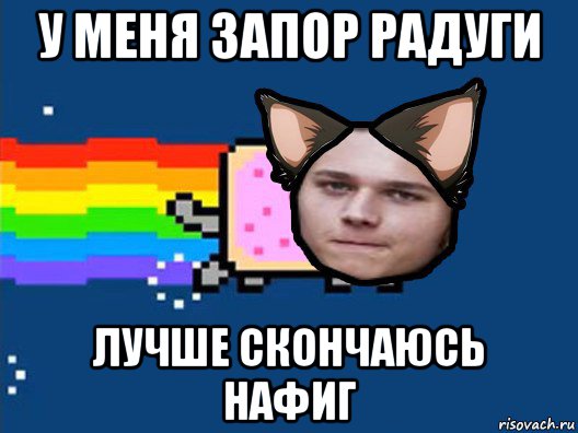 у меня запор радуги лучше скончаюсь нафиг, Мем Нян Кэт в Реальной Жизни