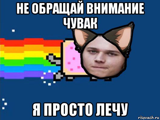 не обращай внимание чувак я просто лечу, Мем Нян Кэт в Реальной Жизни