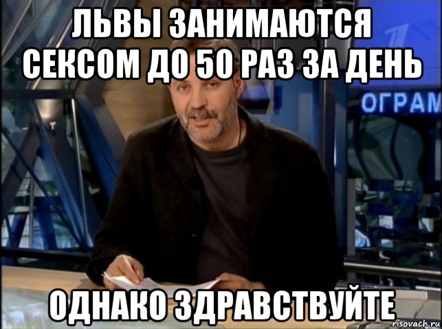 львы занимаются сексом до 50 раз за день однако здравствуйте, Мем Однако Здравствуйте