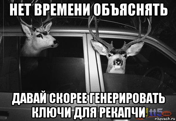 нет времени объяснять давай скорее генерировать ключи для рекапчи