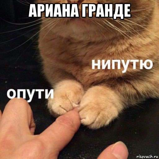 ариана гранде 
