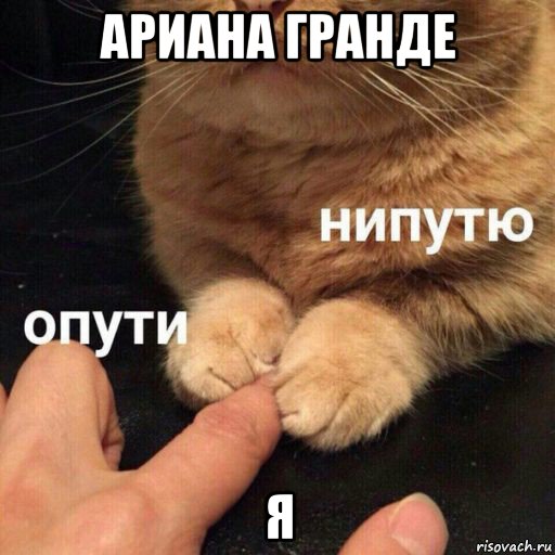 ариана гранде я