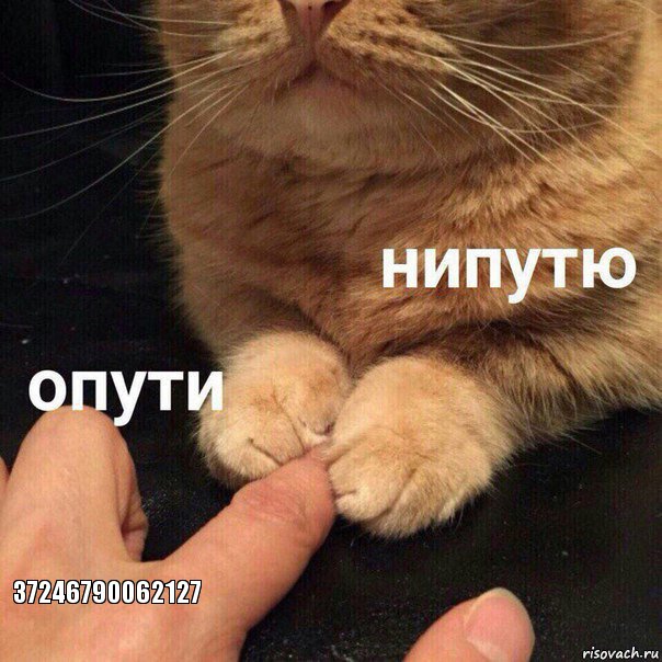  37246790062127, Комикс Опути нипутю