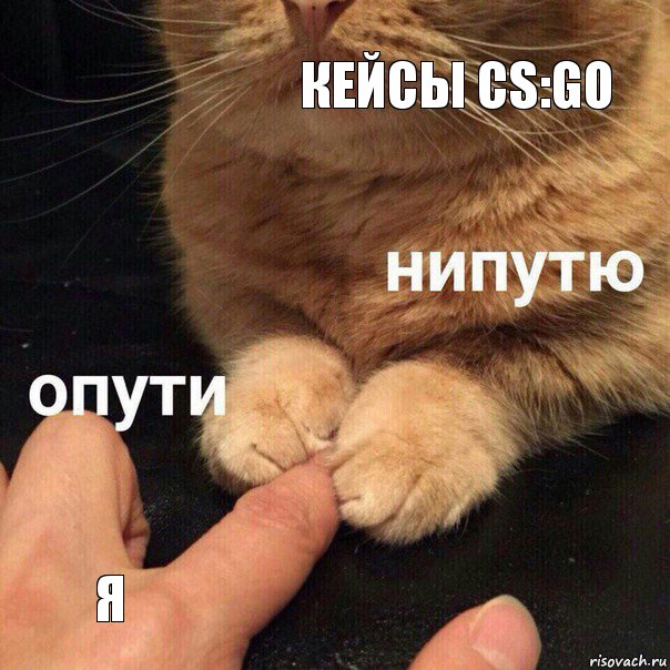 Кейсы CS:GO Я, Комикс Опути нипутю