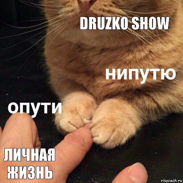 Druzko Show Личная жизнь, Комикс Опути нипутю