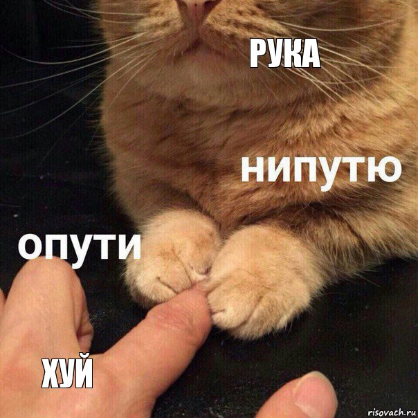 Рука Хуй, Комикс Опути нипутю