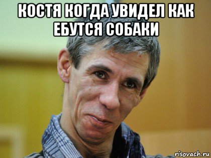 костя когда увидел как ебутся собаки 