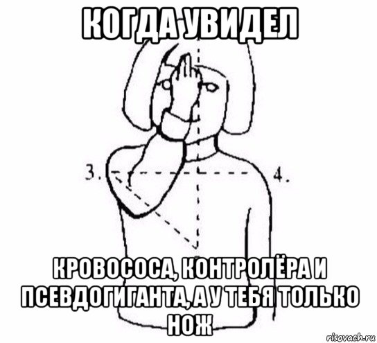 когда увидел кровососа, контролёра и псевдогиганта, а у тебя только нож, Мем  Перекреститься