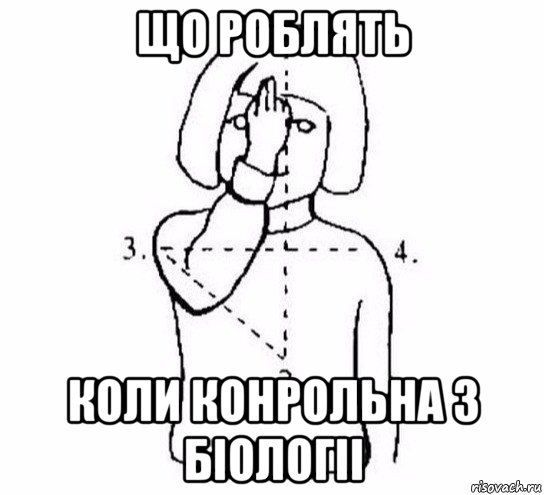 що роблять коли конрольна з біологіі, Мем  Перекреститься