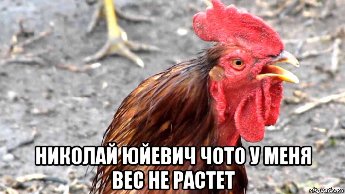  николай юйевич чото у меня вес не растет