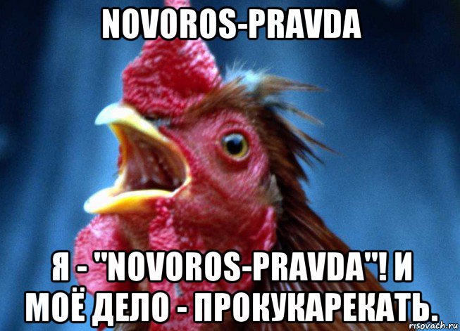 novoros-pravda я - "novoros-pravda"! и моё дело - прокукарекать., Мем Петух