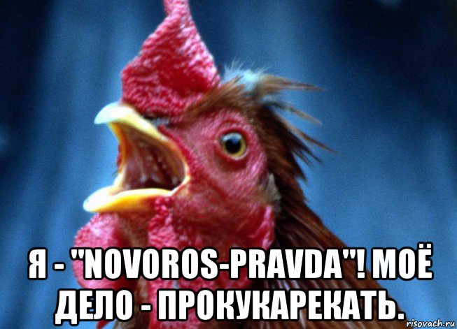  я - "novoros-pravda"! моё дело - прокукарекать., Мем Петух