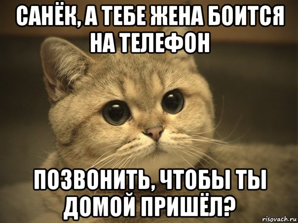 санёк, а тебе жена боится на телефон позвонить, чтобы ты домой пришёл?, Мем Пидрила ебаная котик