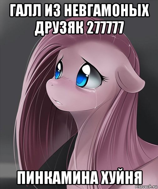 галл из невгамоных друзяк 277777 пинкамина хуйня