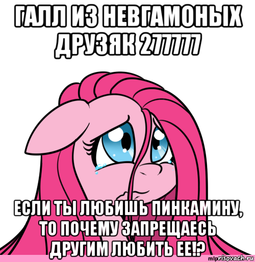 галл из невгамоных друзяк 277777 если ты любишь пинкамину, то почему запрещаесь другим любить ее!?