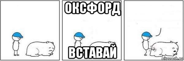 оксфорд вставай