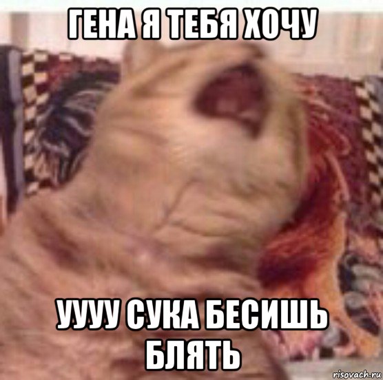 гена я тебя хочу уууу сука бесишь блять