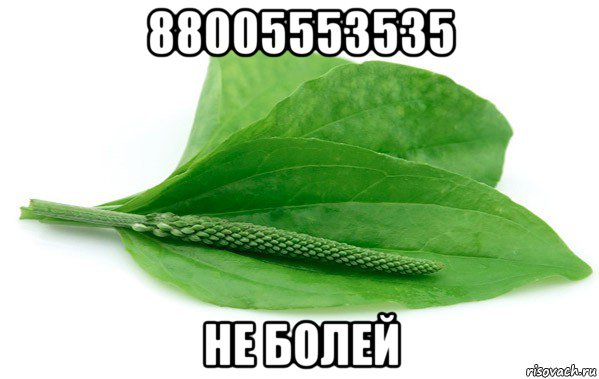 88005553535 не болей