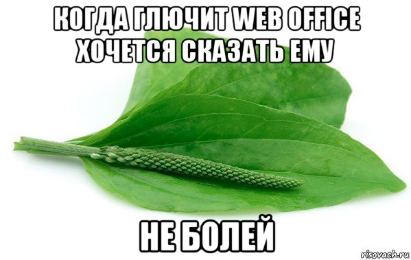 когда глючит web office хочется сказать ему не болей