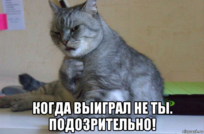  когда выиграл не ты. подозрительно!, Мем подозрительно