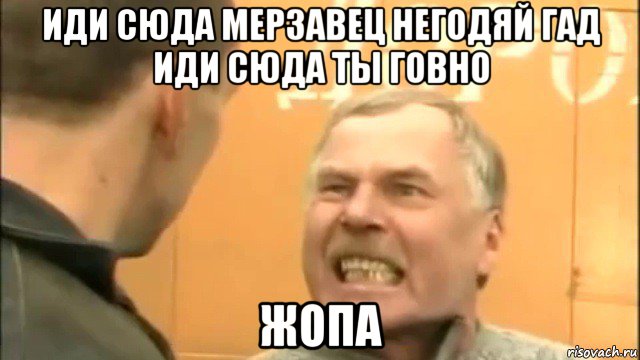 иди сюда мерзавец негодяй гад иди сюда ты говно жопа