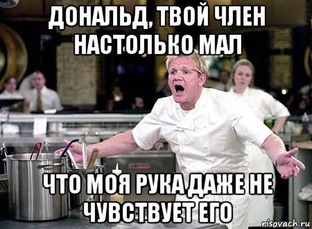 дональд, твой член настолько мал что моя рука даже не чувствует его, Мем ПОВАР