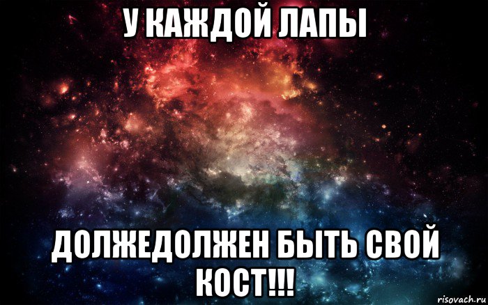 у каждой лапы должедолжен быть свой кост!!!, Мем Просто космос