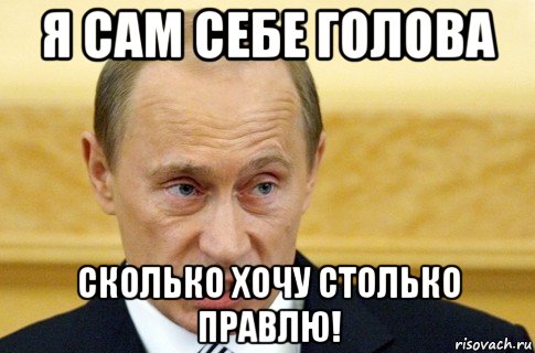 я сам себе голова сколько хочу столько правлю!, Мем путин