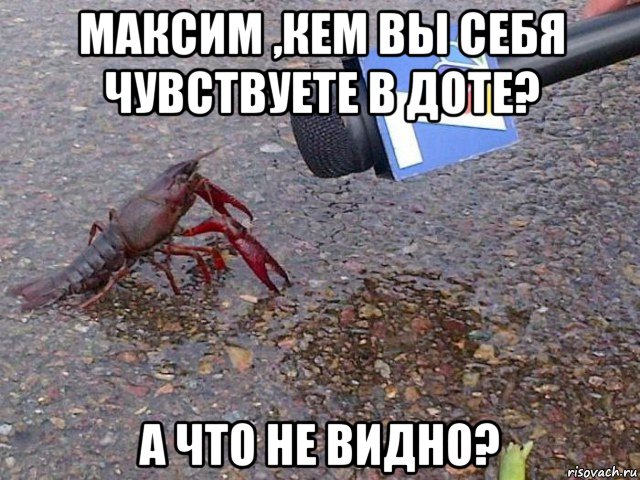 максим ,кем вы себя чувствуете в доте? а что не видно?