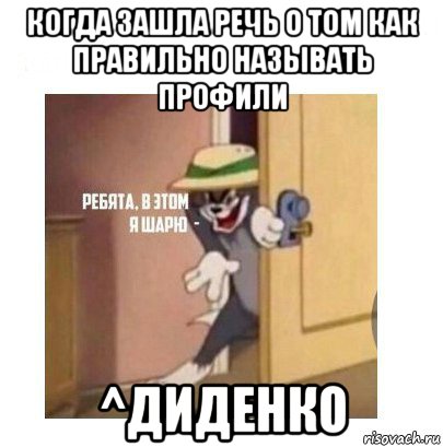 когда зашла речь о том как правильно называть профили ^диденко, Мем Ребята я в этом шарю