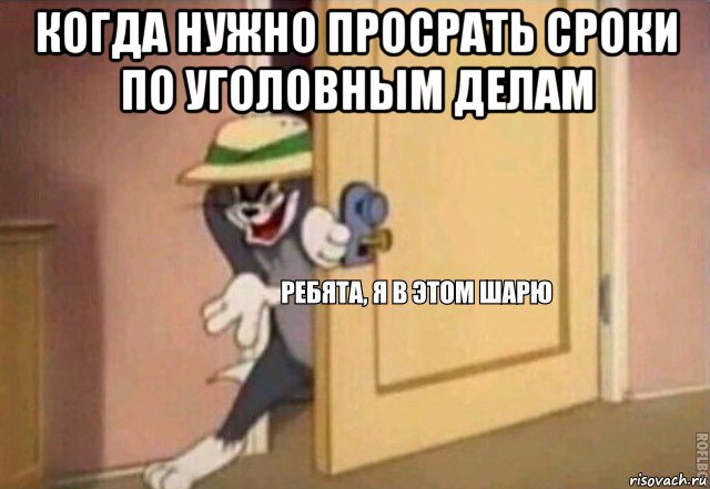 когда нужно просрать сроки по уголовным делам , Мем    Ребята я в этом шарю