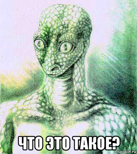  что это такое?