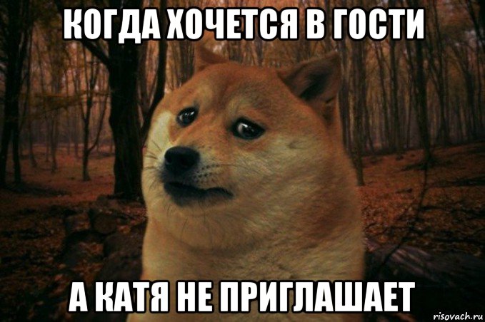 когда хочется в гости а катя не приглашает, Мем SAD DOGE