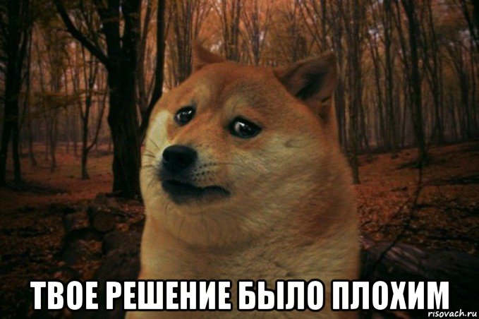  твое решение было плохим, Мем SAD DOGE