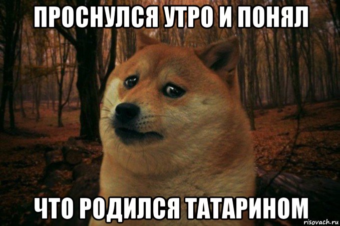 проснулся утро и понял что родился татарином, Мем SAD DOGE