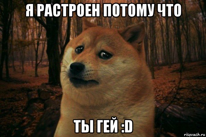 я растроен потому что ты гей :d, Мем SAD DOGE