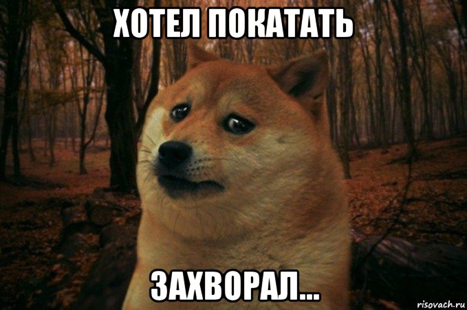 хотел покатать захворал..., Мем SAD DOGE