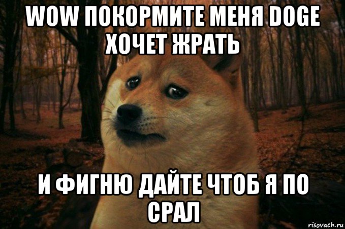 wow покормите меня doge хочет жрать и фигню дайте чтоб я по срал, Мем SAD DOGE