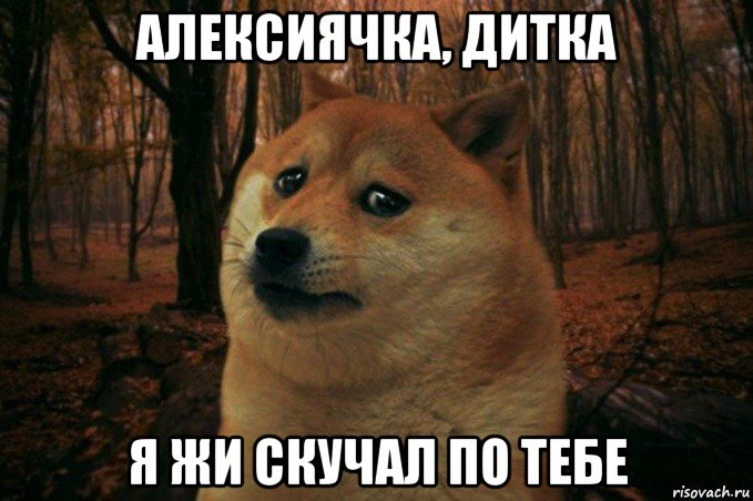 алексиячка, дитка я жи скучал по тебе, Мем SAD DOGE